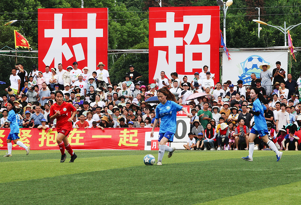 他们必须在 他们必须在